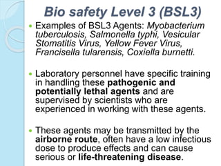 Bio safety Level 3 (BSL3)
 Examples of BSL3 Agents: Myobacterium
tuberculosis, Salmonella typhi, Vesicular
Stomatitis Virus, Yellow Fever Virus,
Francisella tularensis, Coxiella burnetti.
 Laboratory personnel have specific training
in handling these pathogenic and
potentially lethal agents and are
supervised by scientists who are
experienced in working with these agents.
 These agents may be transmitted by the
airborne route, often have a low infectious
dose to produce effects and can cause
serious or life-threatening disease.
 