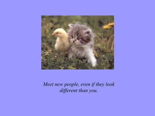 Meet new people, even if they look different than you. 