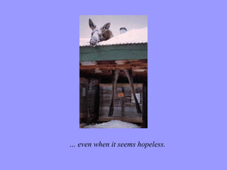 …  even when it seems hopeless. 