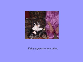 Enjoy expensive toys often. 