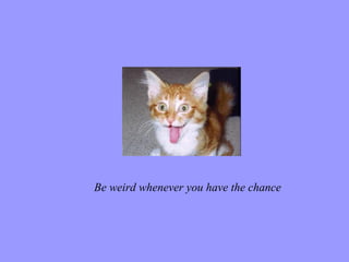 Be weird whenever you have the chance 