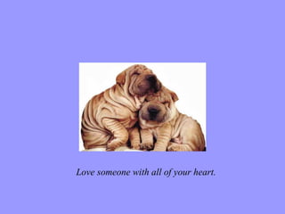 Love someone with all of your heart. 