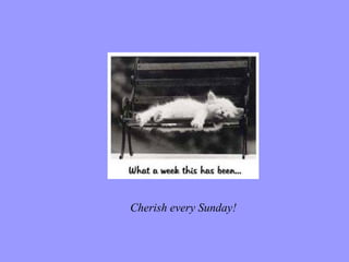 Cherish every Sunday! 