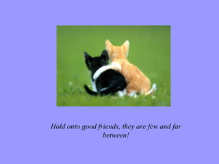 Hold onto good friends, they are few and far between! 