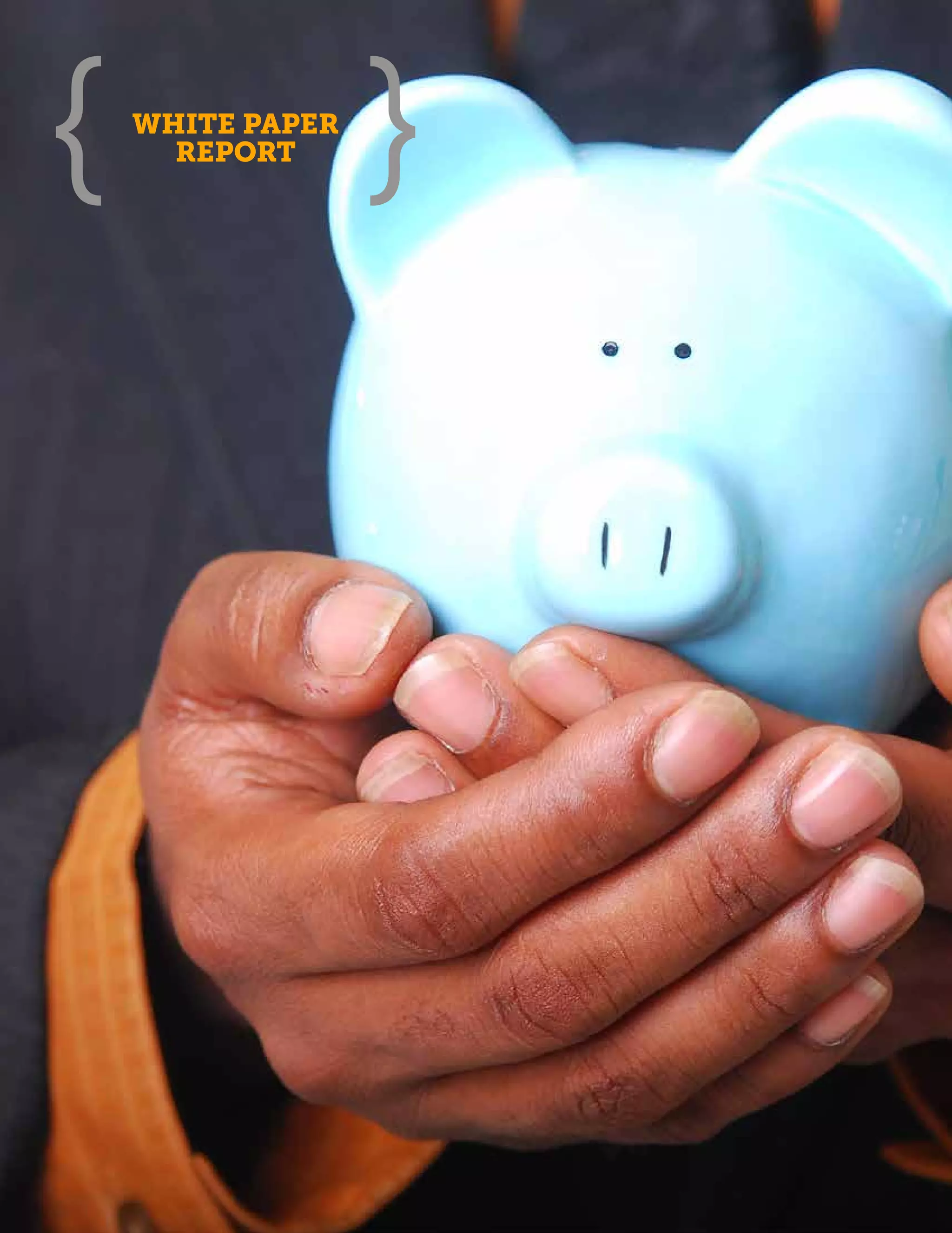 WHITE PAPER
  REPORT
 