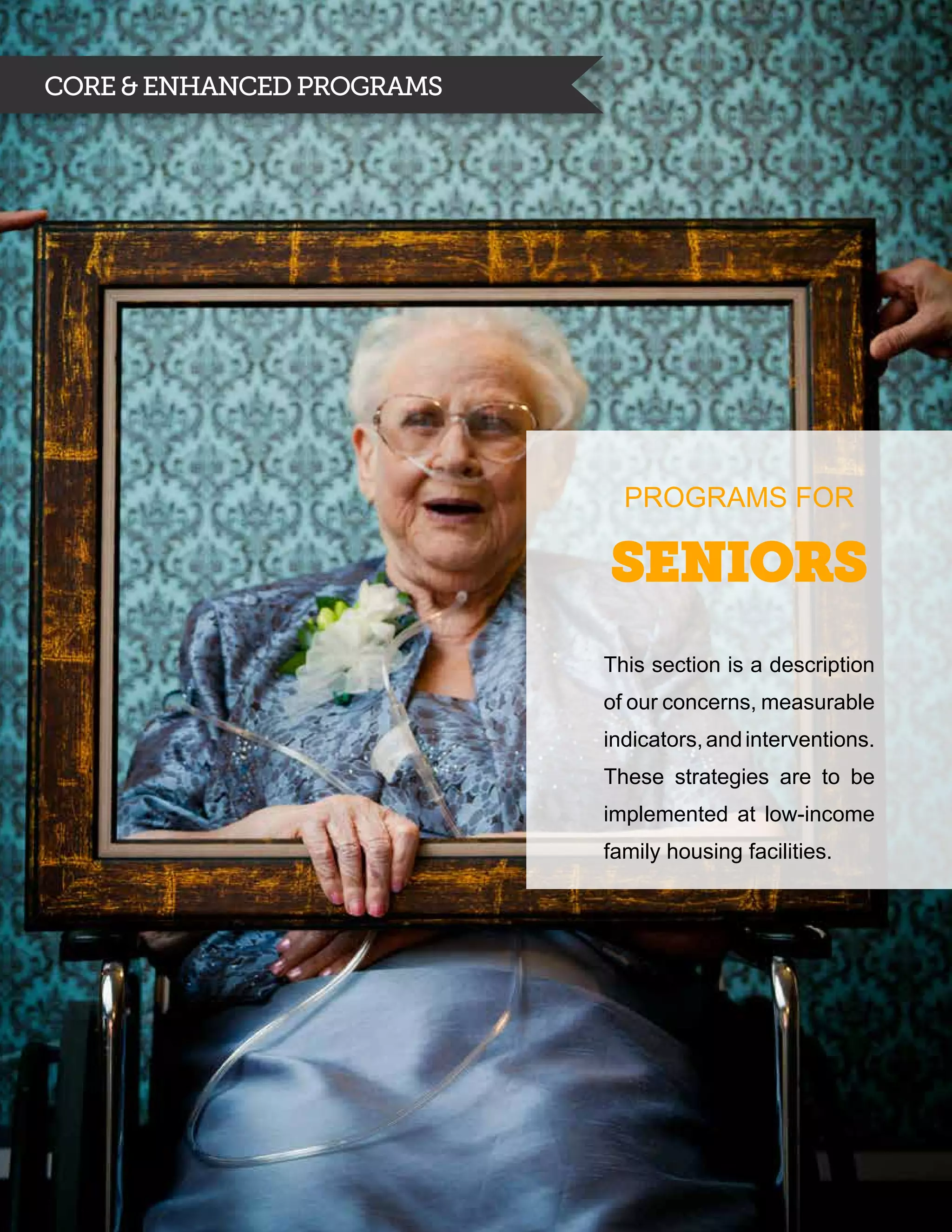 CORE & ENHANCED PROGRAMS




                             Programs for

                           Seniors
                           This section is a description
                           of our concerns, measurable
                           indicators, and interventions.
                           These strategies are to be
                           implemented at low-income
                           family housing facilities.
 