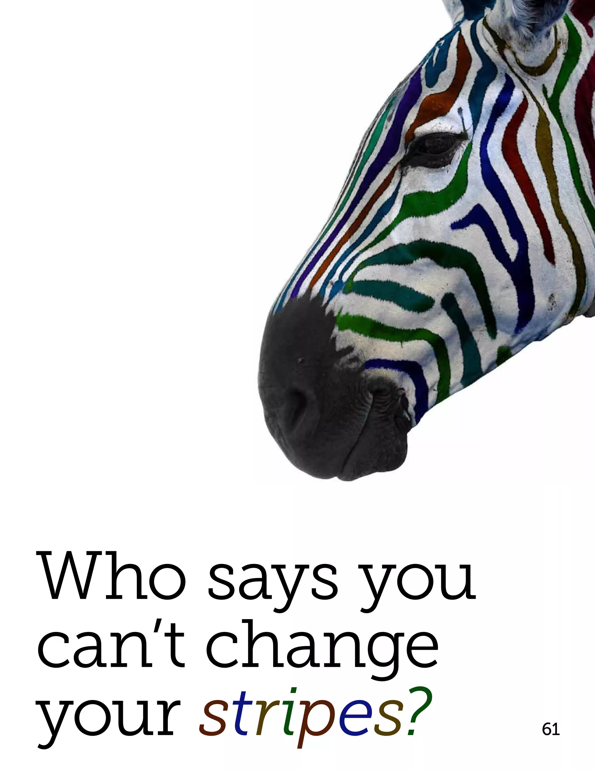 Who says you
can’t change
your stripes?   61
 