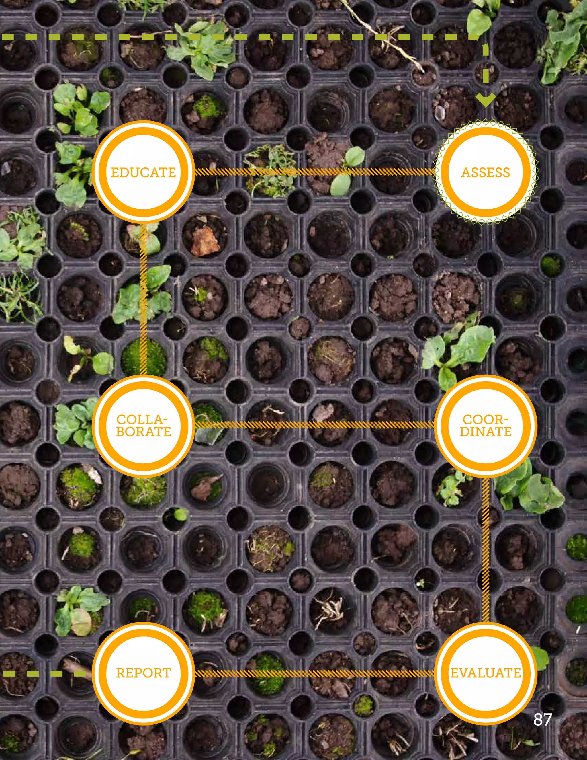 Educate    Assess




COLLA-     Coor-
BORATE     dinate




Report    Evaluate


                     87
 