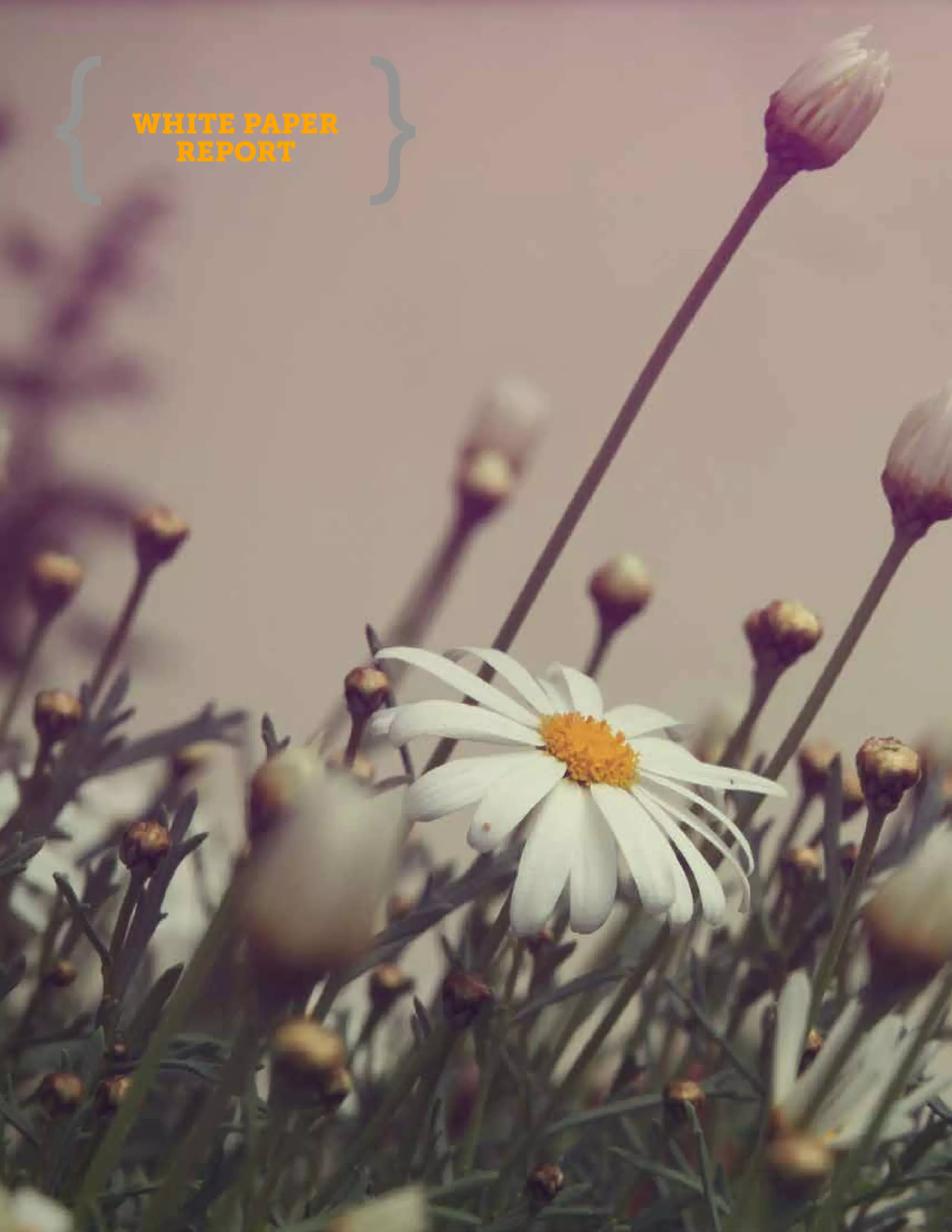 WHITE PAPER
  REPORT
 