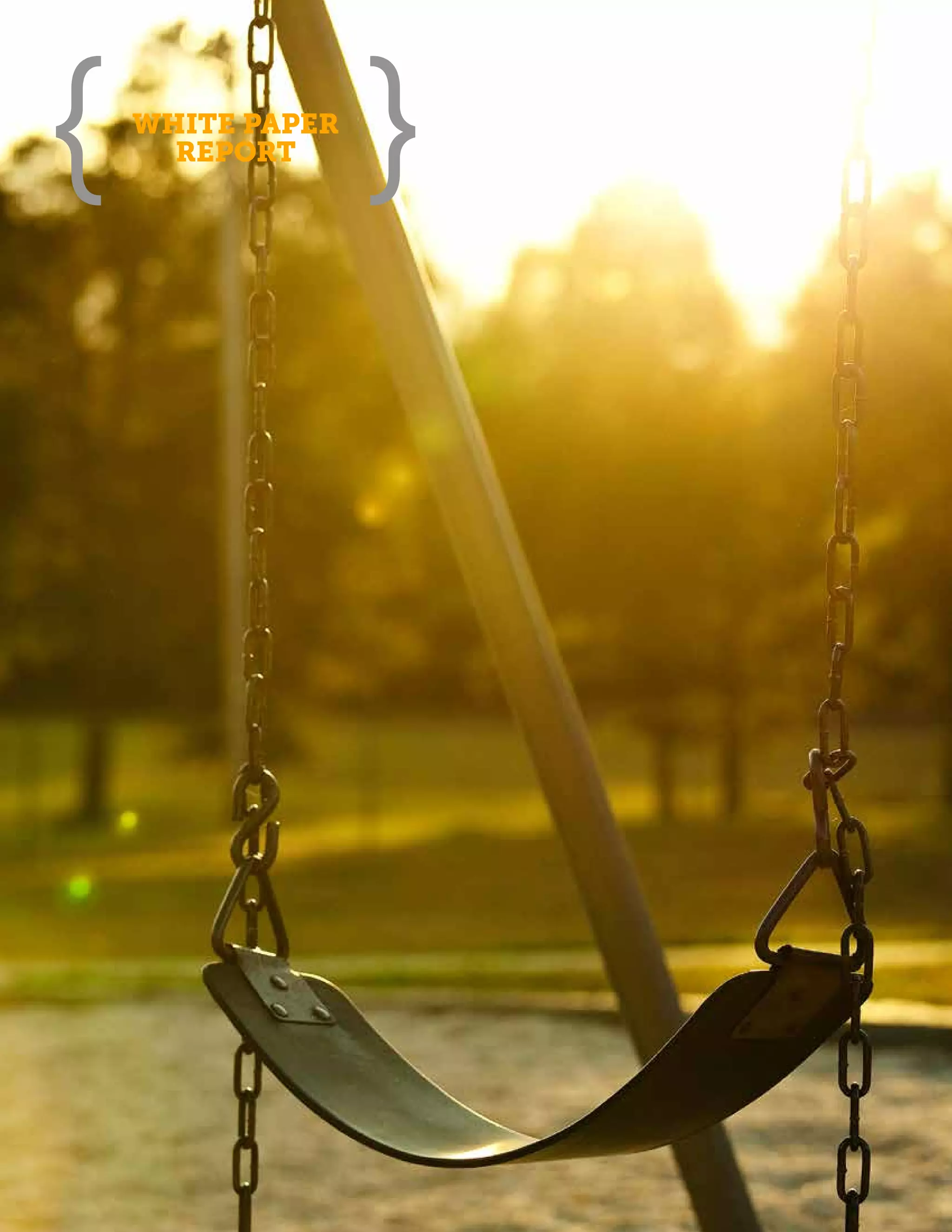 WHITE PAPER
  REPORT
 