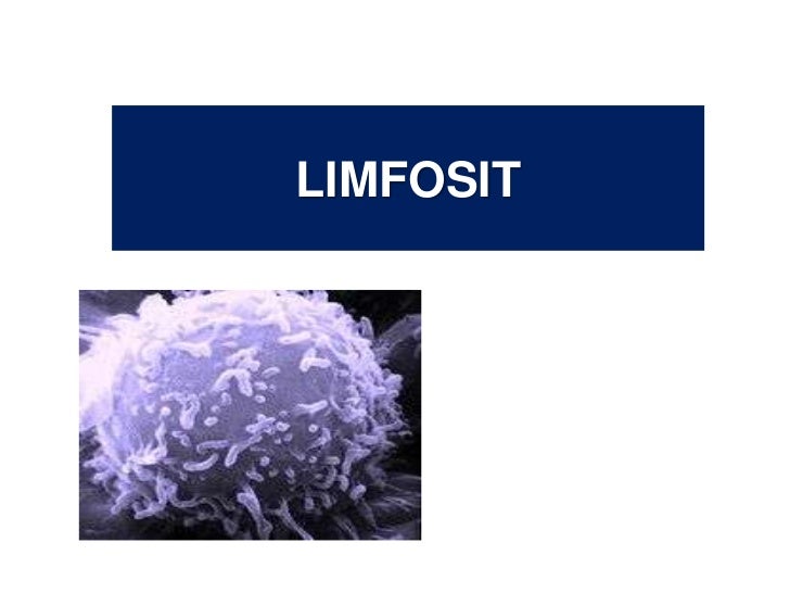 Sistem limfatik