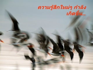 ความรู้สึกใหม่ๆ กำลังเกิดขึ้น ... 