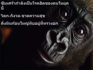 ซึมเศร้ากำลังเป็นโรคฮิตของคนในยุคนี้ วิตก - กังวล - ขาดความสุข  ดั่งหินก้อนใหญ่ทับอยู่ที่ทรวงอก 
