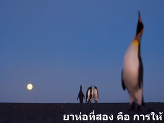 ยาห่อที่สอง คือ การให้ 