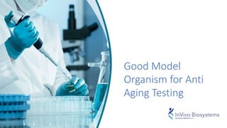 Good Model
Organism for Anti
Aging Testing
 