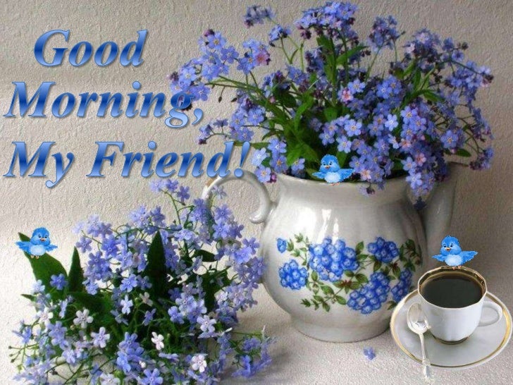 Good Morning My Friend