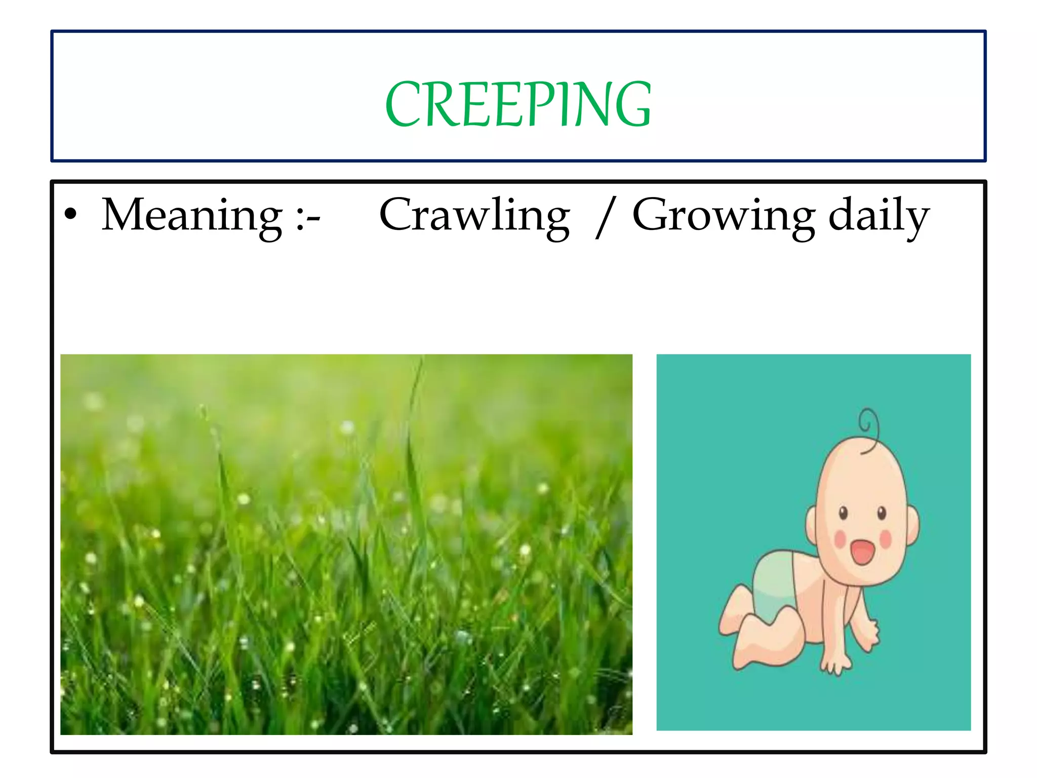 Good morning poem PPT