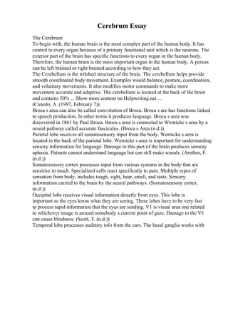 Cerebrum Essay
The Cerebrum
To begin with, the human brain is the most complex part of the human body. It has
control to every organ because of a primary functional unit which is the neurons. The
exterior part of the brain has specific functions to every organ in the human body.
Therefore, the human brain is the most important organ in the human body. A person
can be left brained or right brained according to how they act.
The Cerebellum is the trilobed structure of the brain. The cerebellum helps provide
smooth coordinated body movement. Examples would balance, posture, coordination,
and voluntary movements. It also modifies motor commands to make more
movement accurate and adaptive. The cerebellum is located at the back of the brain
and contains 50% ... Show more content on Helpwriting.net ...
(Canedo, A. (1997, February 7))
Broca s area can also be called convolution of Broca. Broca s are has functions linked
to speech production. In other terms it produces language. Broca s area was
discovered in 1861 by Paul Broca. Broca s area is connected to Wernicke s area by a
neural pathway called accurate fasciculus. (Broca s Area (n.d.))
Parietal lobe receives all somatosensory input from the body. Wernicke s area is
located in the back of the parietal lobe. Wernicke s area is important for understanding
sensory information for language. Damage to this part of the brain produces sensory
aphasia. Patients cannot understand language but can still make sounds. (Amthor, F.
(n.d.))
Somatosensory cortex processes input from various systems in the body that are
sensitive to touch. Specialized cells react specifically to pain. Multiple types of
sensation from body, includes tough, sight, hear, smell, and taste. Sensory
information carried to the brain by the neural pathways. (Somatosensory cortex.
(n.d.))
Occipital lobe receives visual information directly from eyes. This lobe is
important so the eyes know what they are seeing. These lobes have to be very fast
to process rapid information that the eyes are sending. V1 is visual area one related
to whichever image is around somebody s current point of gaze. Damage to the V1
can cause blindness. (Scott, T. (n.d.))
Temporal lobe processes auditory info from the ears. The basal ganglia works with
 
