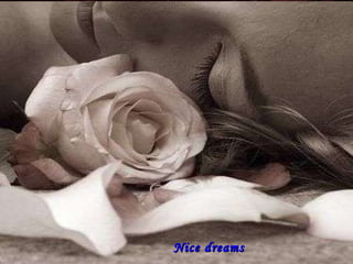 Nice dreams 