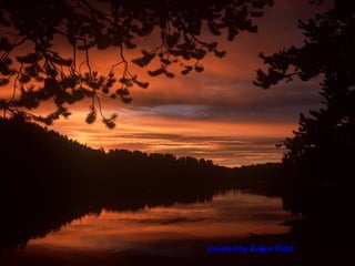 Created by Željko Čidić 