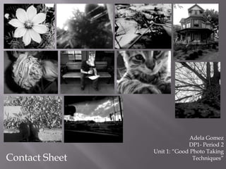 Contact Sheet
Adela Gomez
DP1- Period 2
Unit 1: “Good Photo Taking
Techniques”
 