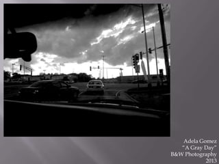 Adela Gomez
“A Gray Day”
B&W Photography
2013

 
