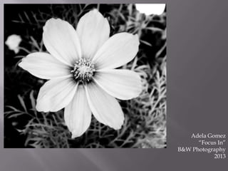 Adela Gomez
“Focus In”
B&W Photography
2013

 