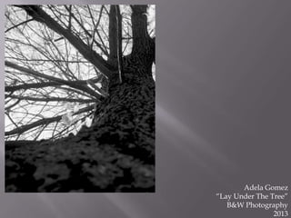 Adela Gomez
“Lay Under The Tree”
B&W Photography
2013

 