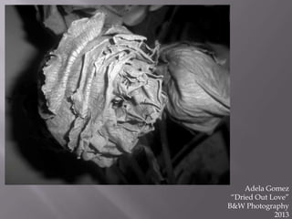 Adela Gomez
“Dried Out Love”
B&W Photography
2013

 