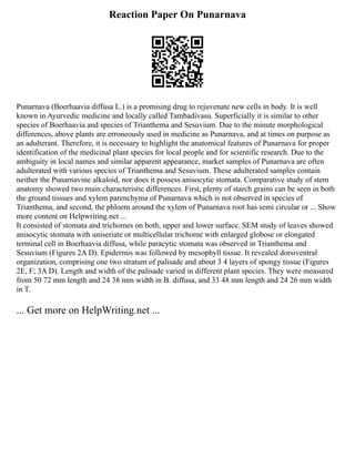 Reaction Paper On Punarnava
Punarnava (Boerhaavia diffusa L.) is a promising drug to rejuvenate new cells in body. It is well
known in Ayurvedic medicine and locally called Tambadivasu. Superficially it is similar to other
species of Boerhaavia and species of Trianthema and Sesuvium. Due to the minute morphological
differences, above plants are erroneously used in medicine as Punarnava, and at times on purpose as
an adulterant. Therefore, it is necessary to highlight the anatomical features of Punarnava for proper
identification of the medicinal plant species for local people and for scientific research. Due to the
ambiguity in local names and similar apparent appearance, market samples of Punarnava are often
adulterated with various species of Trianthema and Sesuvium. These adulterated samples contain
neither the Punarnavine alkaloid, nor does it possess anisocytic stomata. Comparative study of stem
anatomy showed two main characteristic differences. First, plenty of starch grains can be seen in both
the ground tissues and xylem parenchyma of Punarnava which is not observed in species of
Trianthema, and second, the phloem around the xylem of Punarnava root has semi circular or ... Show
more content on Helpwriting.net ...
It consisted of stomata and trichomes on both, upper and lower surface. SEM study of leaves showed
anisocytic stomata with uniseriate or multicellular trichome with enlarged globose or elongated
terminal cell in Boerhaavia diffusa, while paracytic stomata was observed in Trianthema and
Sesuvium (Figures 2A D). Epidermis was followed by mesophyll tissue. It revealed dorsiventral
organization, comprising one two stratum of palisade and about 3 4 layers of spongy tissue (Figures
2E, F; 3A D). Length and width of the palisade varied in different plant species. They were measured
from 50 72 mm length and 24 38 mm width in B. diffusa, and 33 48 mm length and 24 26 mm width
in T.
... Get more on HelpWriting.net ...
 