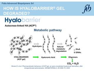 Fidia Advanced Biopolymers Srl
HOW IS HYALOBARRIER® GEL
DEGRADED?
Autocross-linked HA (ACP®)
Metabolic pathway
Hydrolysis Natural
metabolic
degradation
HYALOBARRIER
(ACP gel)
Hyaluronic Acid Oligomers
GluA
GlNAc
CO2 + H2O
Renier D. et al. Pharmacokinetic behaviour of ACP gel, an auto-crosslinked hyaluronan derivative, after
intraperitoneal administration. BIOMATERIALS, 26:5368-74, 2005
 