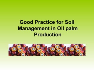 Good Practice for Soil
Management in Oil palm
Production
 