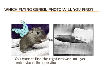 WHICH FLYING GERBIL PHOTO WILL YOU FIND? You cannot find the right answer until you understand the question! OR 