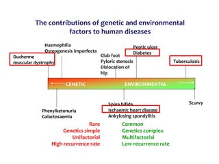 GENETIC ENVIRONMENTAL
Duchenne
muscular dystrophy
Haemophilia
Osteogenesis imperfecta
Club foot
Pyloric stenosis
Dislocation of
hip
Peptic ulcer
Diabetes
Tuberculosis
Phenylketonuria
Galactosaemia
Spina bifida
Ischaemic heart disease
Ankylosing spondylitis
Scurvy
The contributions of genetic and environmental
factors to human diseases
Rare
Genetics simple
Unifactorial
High recurrence rate
Common
Genetics complex
Multifactorial
Low recurrence rate
 