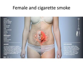 Female and cigarette smoke
 