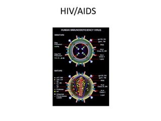 HIV/AIDS
 