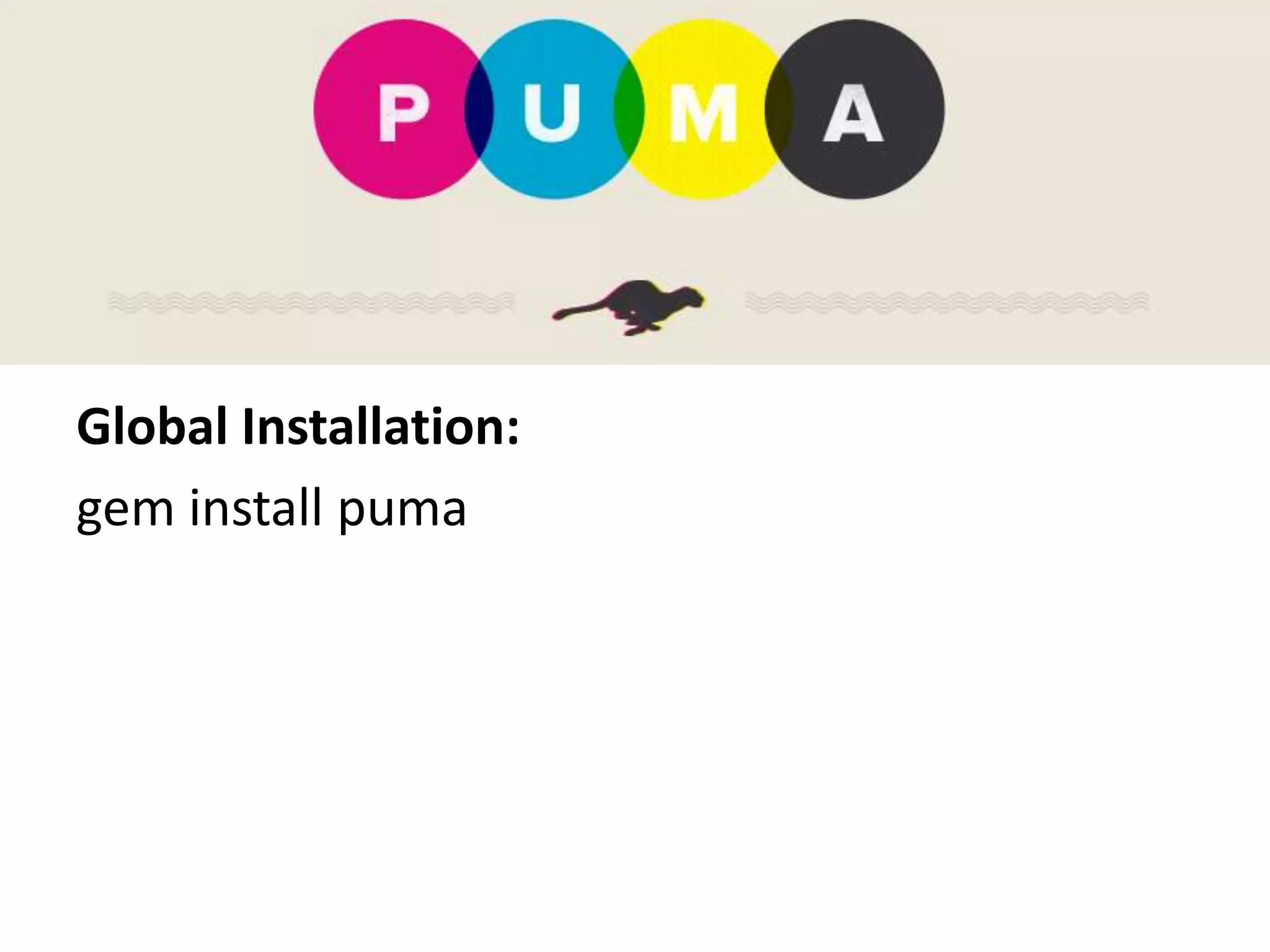 Global Installation:
gem install puma
 