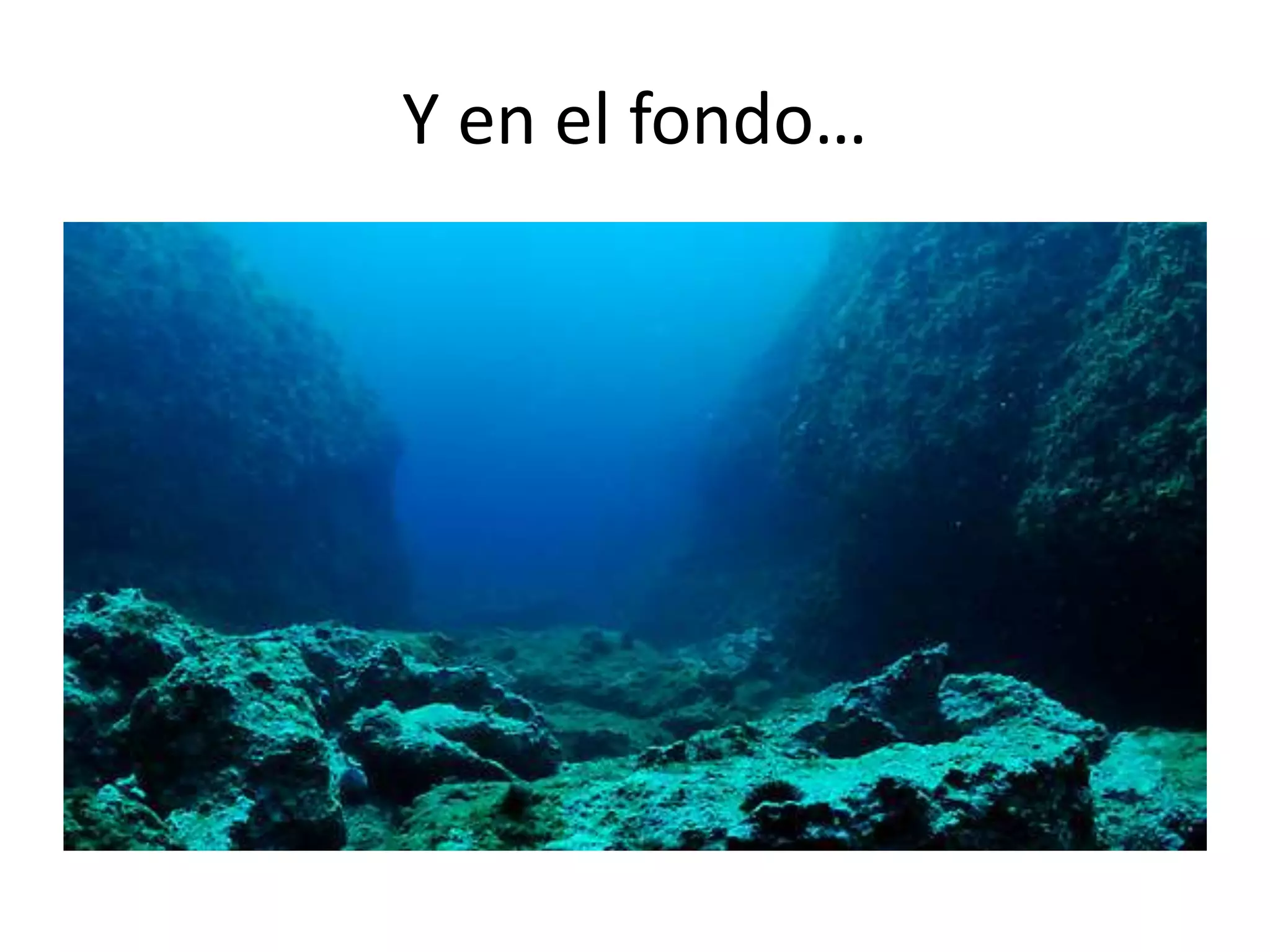 Y en el fondo…
 