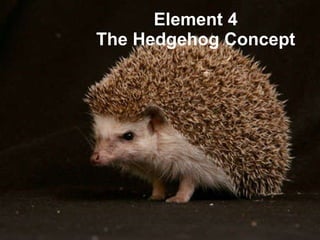 Element 4 The Hedgehog Concept 