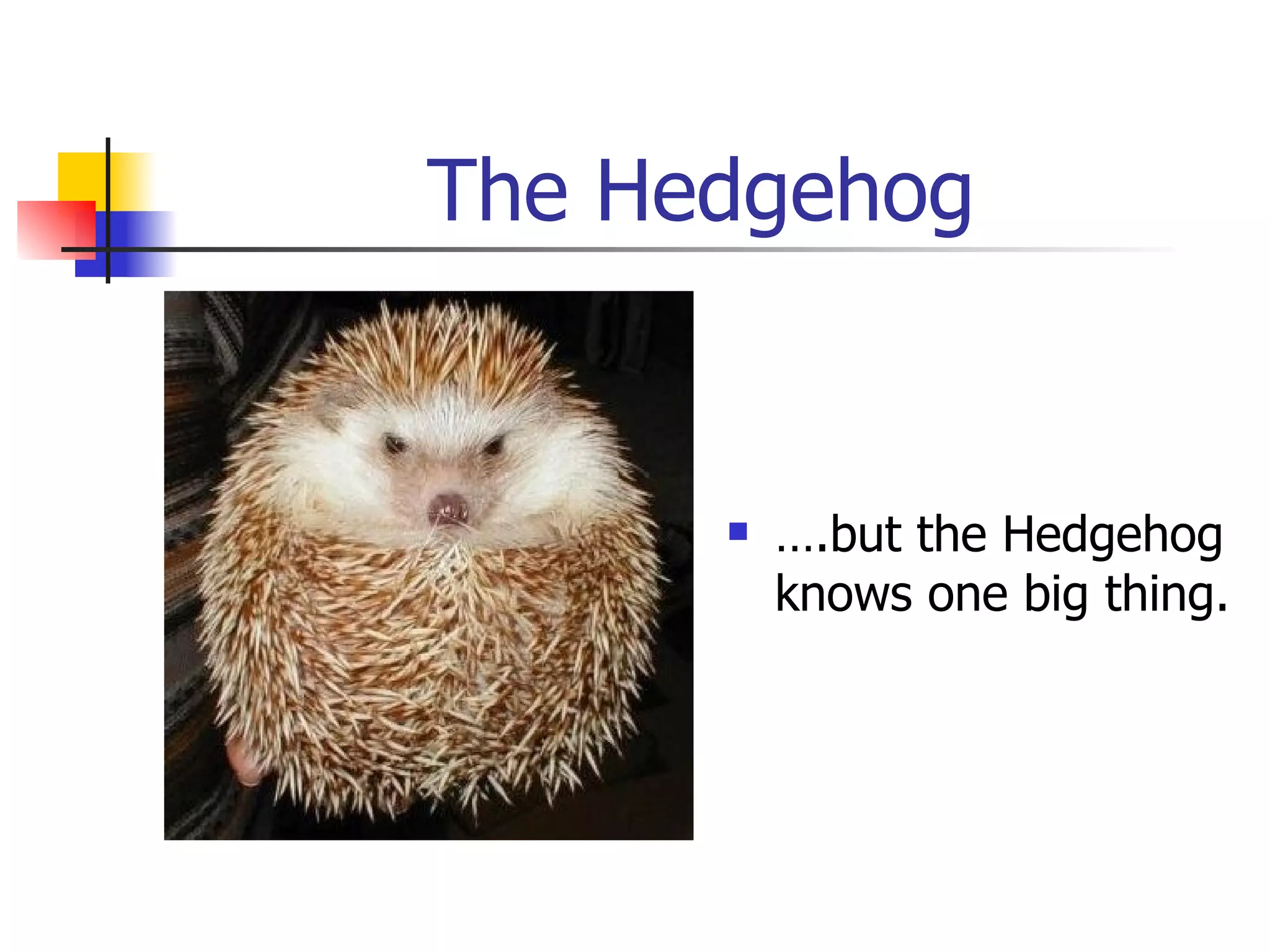 The Hedgehog … .but the Hedgehog knows one big thing. 