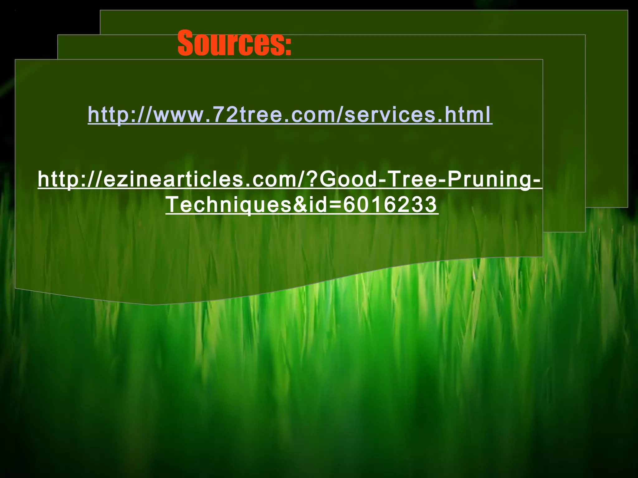 Sources:
http://www.72tree.com/services.html
http://ezinearticles.com/?Good-Tree-PruningTechniques&id=6016233

 
