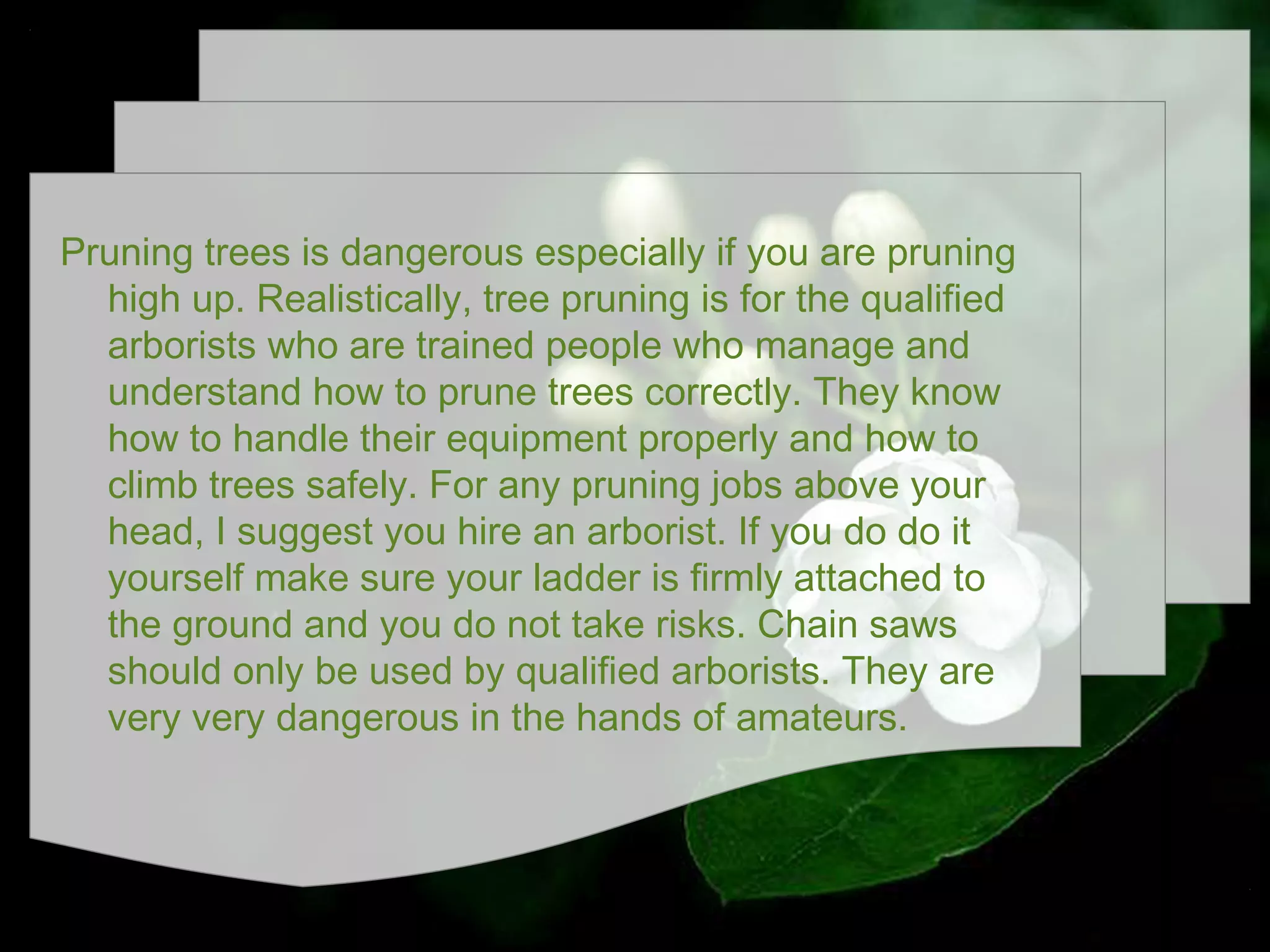 Pruning trees is dangerous especially if you are pruning
high up. Realistically, tree pruning is for the qualified
arborists who are trained people who manage and
understand how to prune trees correctly. They know
how to handle their equipment properly and how to
climb trees safely. For any pruning jobs above your
head, I suggest you hire an arborist. If you do do it
yourself make sure your ladder is firmly attached to
the ground and you do not take risks. Chain saws
should only be used by qualified arborists. They are
very very dangerous in the hands of amateurs.

 