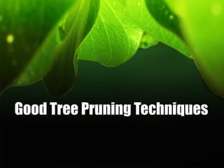 Good Tree Pruning Techniques

 