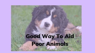 Good Way To Aid
Poor Animals
 
