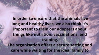 In order to ensure that the animals live
long and healthy lives, we also think it's
important to train our adopters about
things like nutrition, vaccinations, and
training.
The organisation offers a secure setting and
care while waiting for the ideal family to