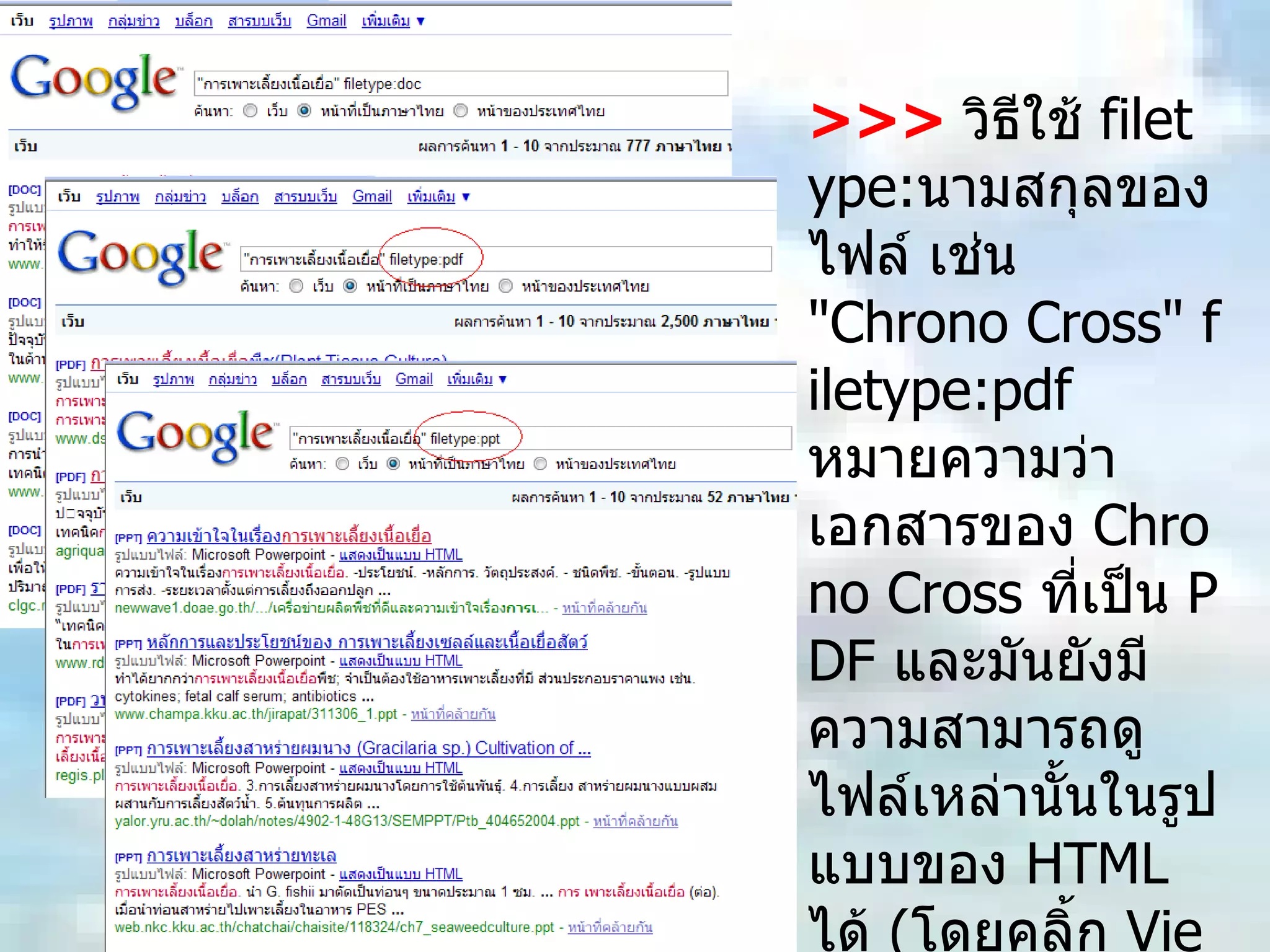 >>>   วิธีใช้  filetype: นามสกุลของไฟล์ เช่น  "Chrono Cross" filetype:pdf  หมายความว่าเอกสารของ  Chrono Cross  ที่เป็น  PDF  และมันยังมีความสามารถดูไฟล์เหล่านั้นในรูปแบบของ  HTML  ได้  ( โดยคลิ้ก  View as HTML  หรือ รูปแบบ  HTML  ใน  Google  ไทย )  