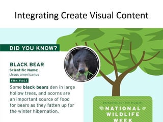 Integrating Create Visual Content
 