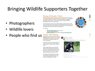 Bringing Wildlife Supporters Together

• Photographers
• Wildlife lovers
• People who find us
 