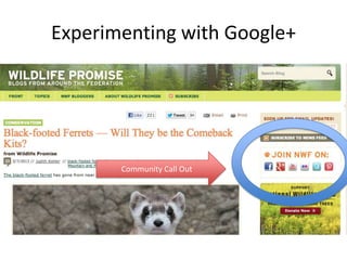 Experimenting with Google+




       Community Call Out
 