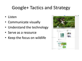 Google+ Tactics and Strategy
•   Listen
•   Communicate visually
•   Understand the technology
•   Serve as a resource
•   Keep the focus on wildlife
 